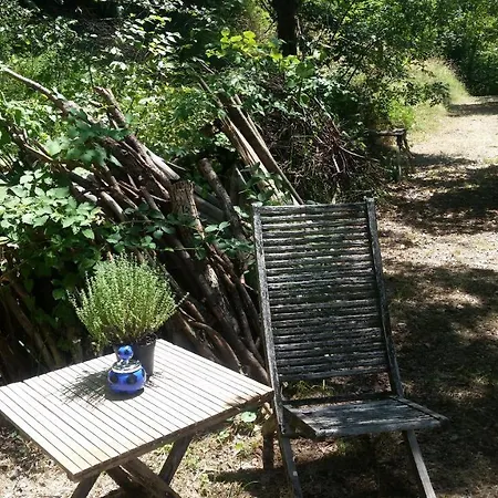 La Stanza Nel Bosco