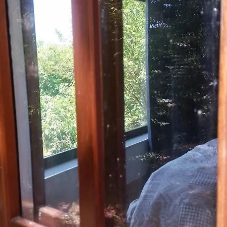 La Stanza Nel Bosco Lodge *
