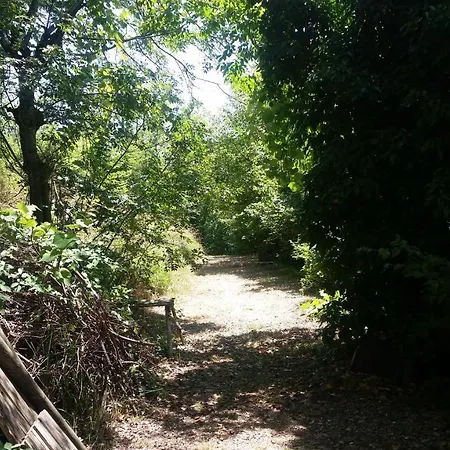 Hytte La Stanza Nel Bosco *