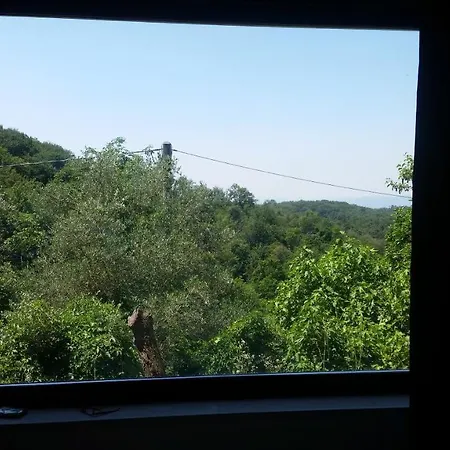 La Stanza Nel Bosco