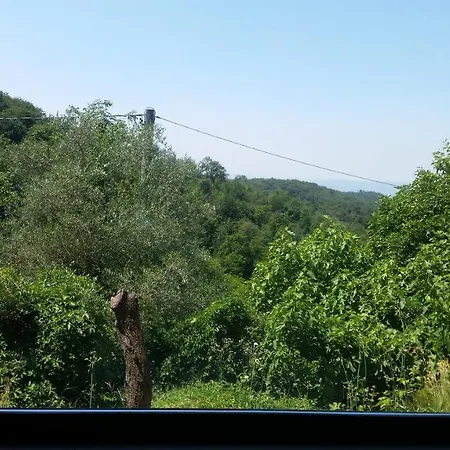 La Stanza Nel Bosco *
